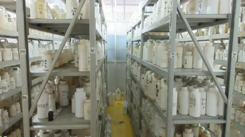 عطر عالي الجودة برائحة الورد الرومانسي مع بخاخ للجسم، زيت عطري مخصص للنساء