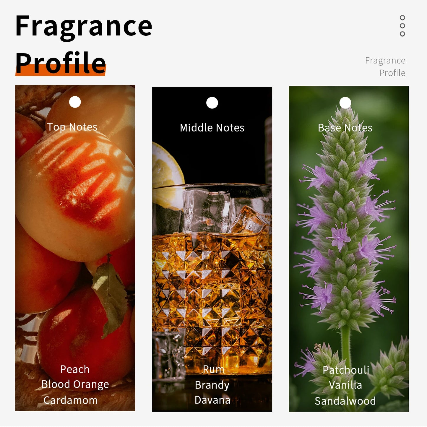 VILILY NO.054 Perfumes 75ml Original Unisex Neutral Perfume Mist Style for Men and Women Gourmand Oriental