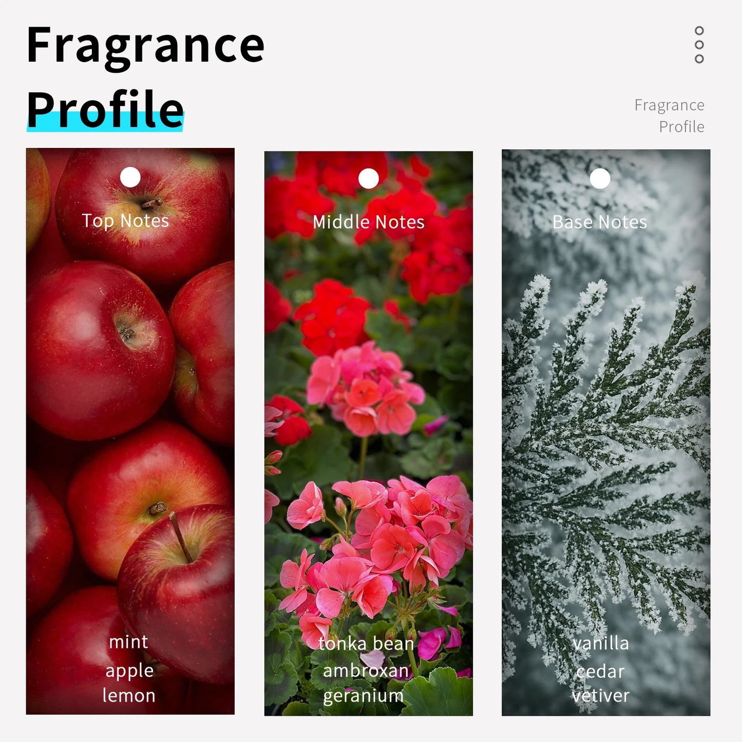 عطر فيليلي VL023 بخاخ 100 مل للرجال عطور أصلية على طراز ميست بارا هومبر فوجير ميدوسا