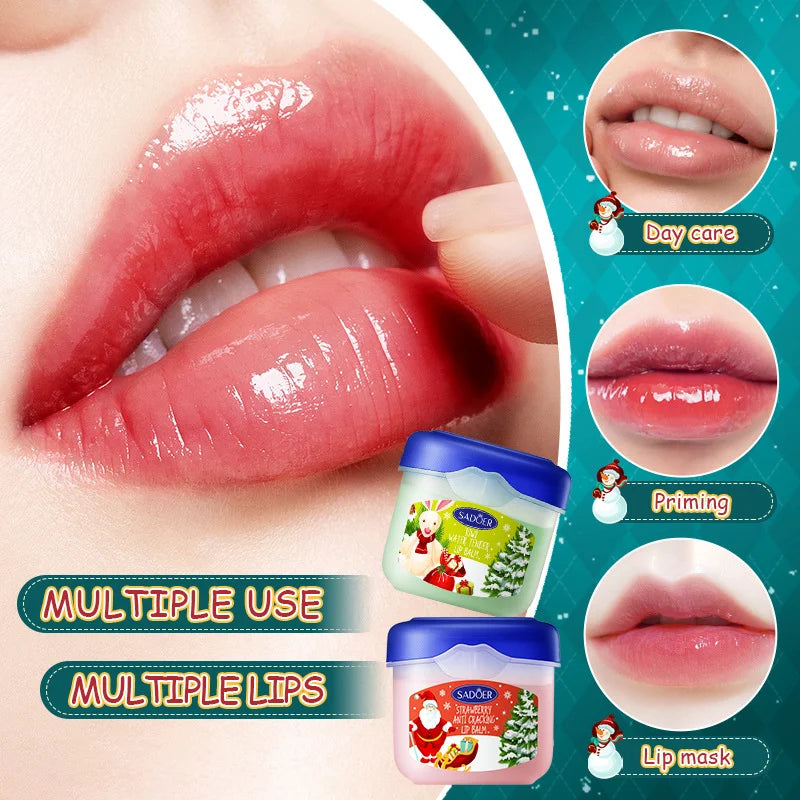 Christmas Gift Box,Lip Balm 4PCS/box Lip Makeup Set, Durable Moisturizer, Christmas Women's Gift Nourishing Lipstick Skin Care