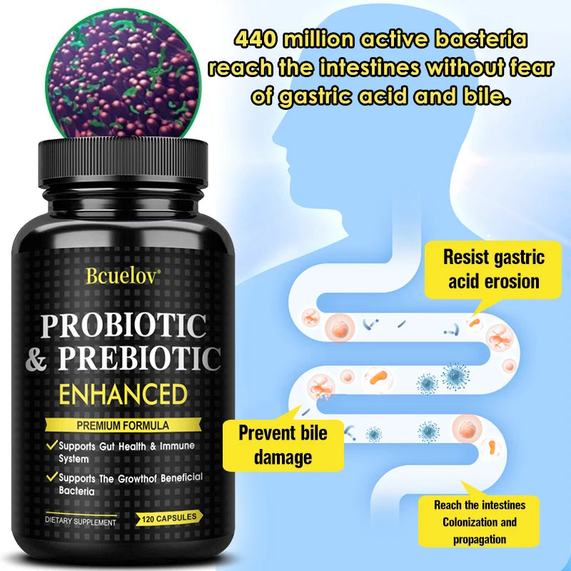 Probiotic Supplements - Support Gut Health and The Immune System, Promoting Overall Well-being and Digestive Health