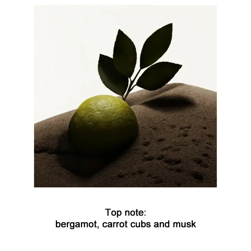 Men's Perfume 100ML Ebony Men Sandalwood Perfume Spray Flirting Pheromone Long Lasting Romance Attract Women Valentine Day Gift SwiftNest