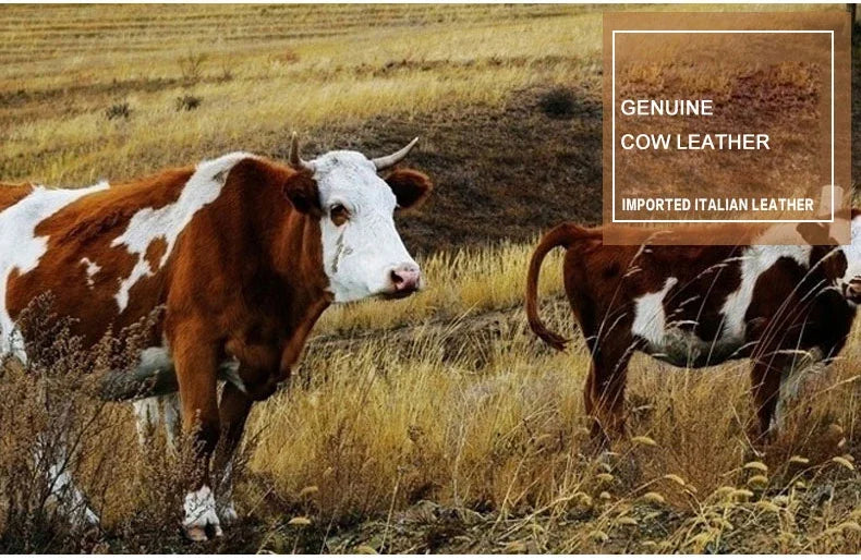 حقيبة يد أصلية من SENOFAN للرجال مخططة من جلد البقر الطبيعي، حقيبة يد رجالية، محفظة بتصميم مظروف، إصدار كوري رائع