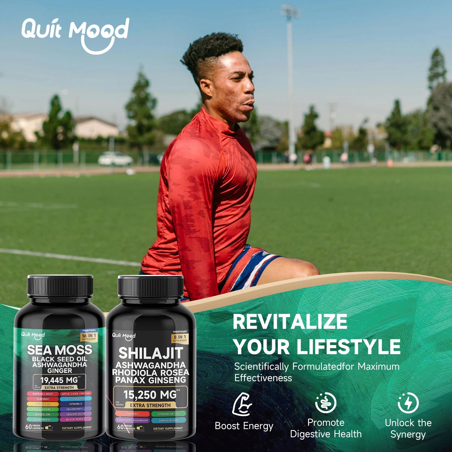 مجموعة الطحالب البحرية والشيلاجيت، 120 كبسولة، مع الطحالب البحرية، وزيت حبة البركة، والأشواغاندا، والزنجبيل، وجذر الأرقطيون، والكركم، والفلفل الأسود