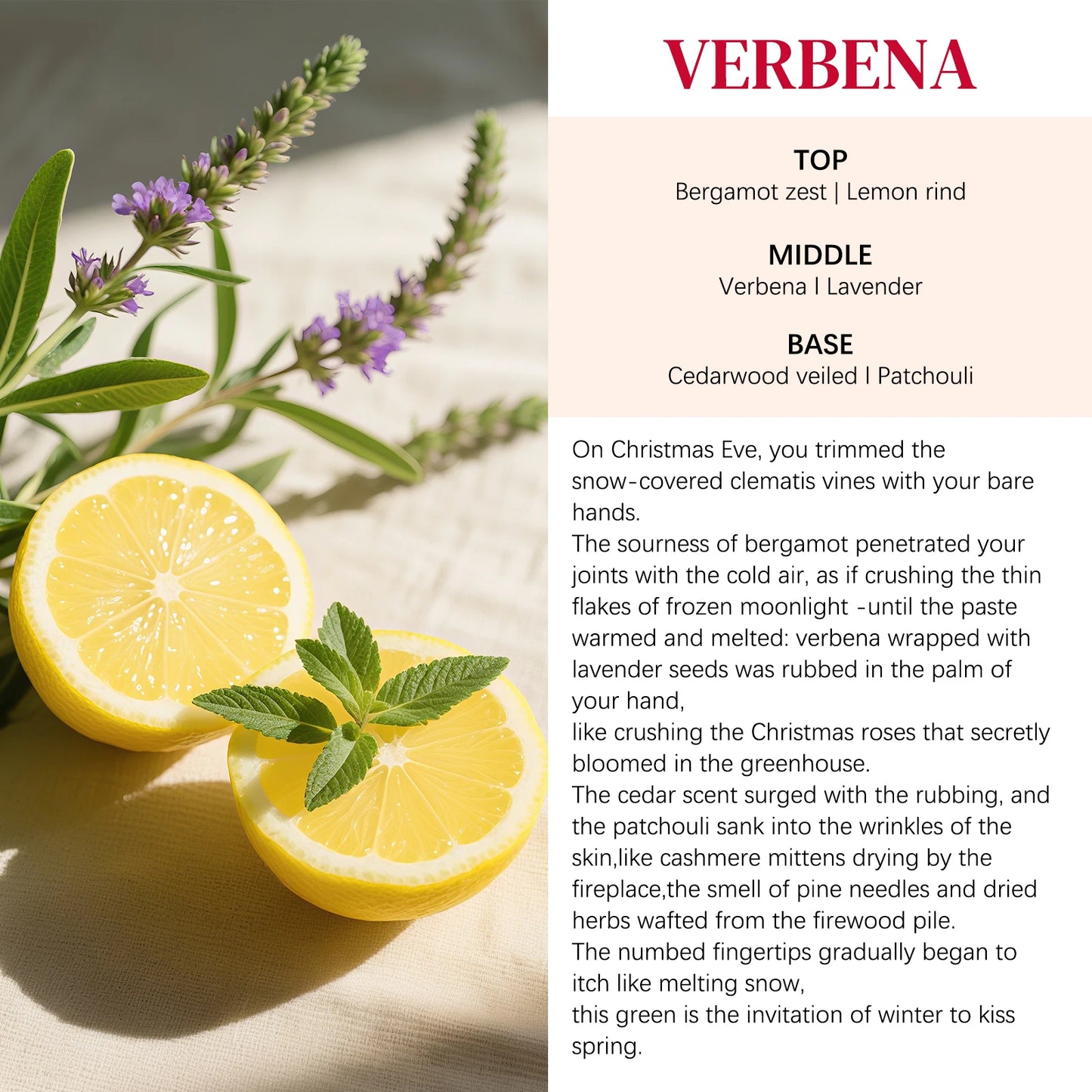 Merry Christmas 110ml Skin Care Gift Set - Hand Body Feet Cream with Nail Pen, Natural Verbena Cedarwood Sandalwood Fragrance