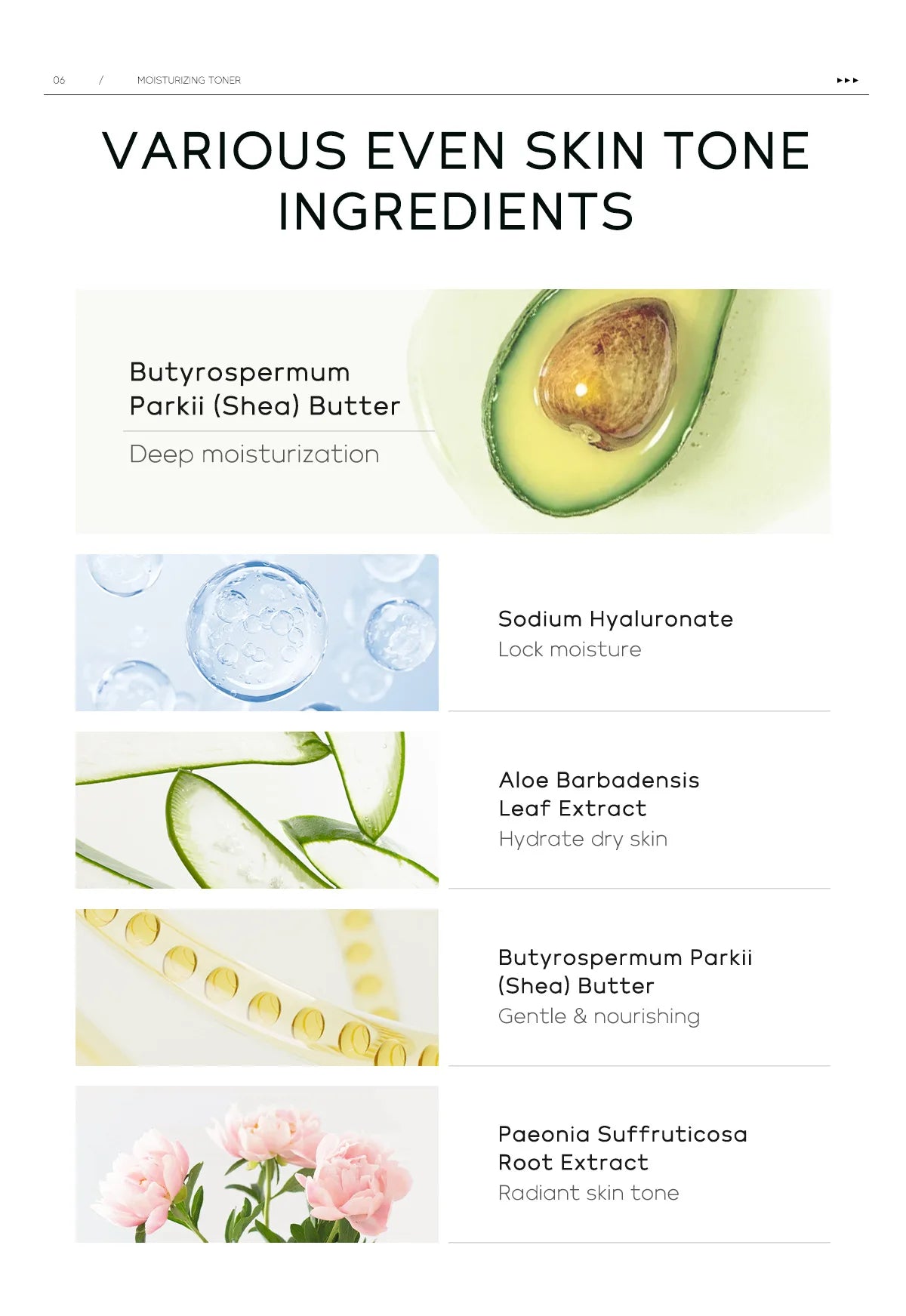 Professional 5 Piece Face Care Collection Intense deep Hydration Set For Dry Skin Daily Beauty Routine