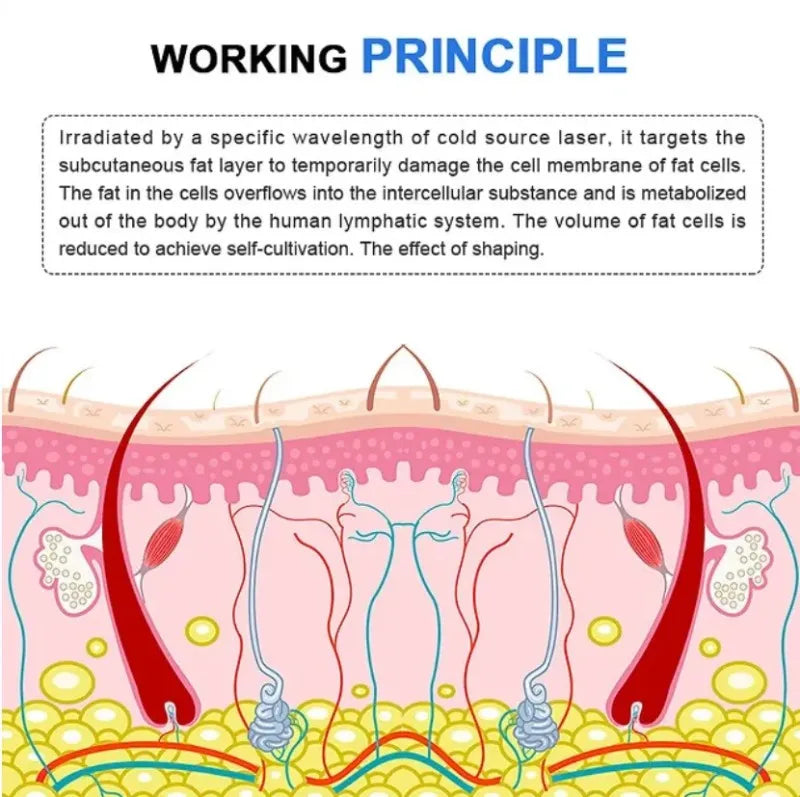 2025 LuxMaster Emerald Laser Slim Machine Body Fat Loss Treatment with 10D Laser for Health And Wellness