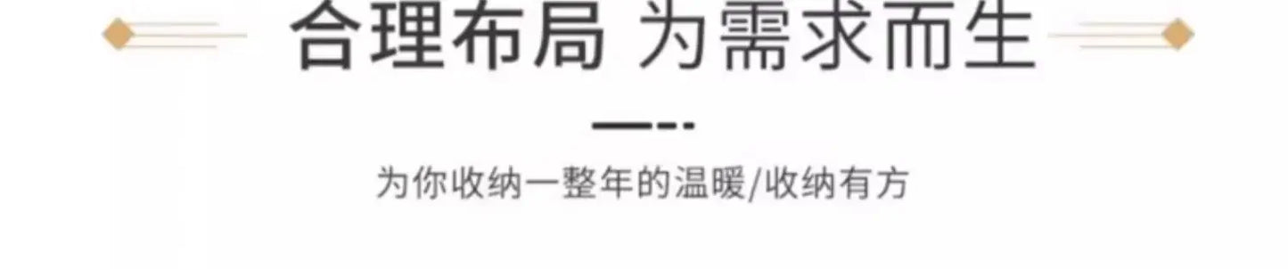 Multifunction Storage Wardrobe Storage Shirts Bedroom Cupboard Clothes Partitions Rangement Armoire Wardrobes Furniture