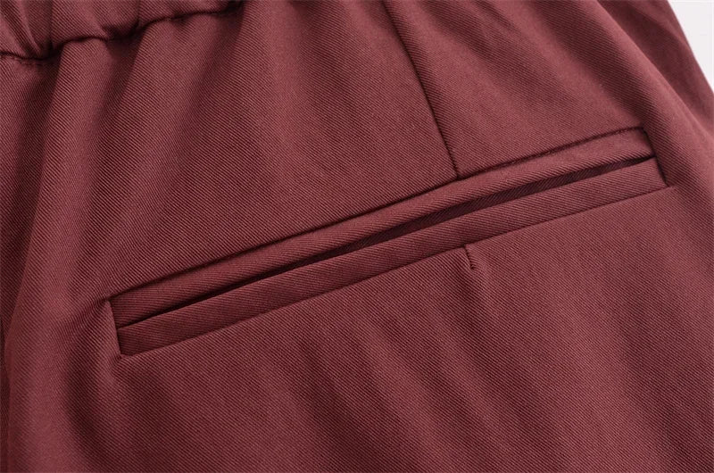 Women's Fashion Suit 2024 New Fall Side Stripe Long Sleeve Jacket Striped Casual Pants Elegant casual women's pantalon suit