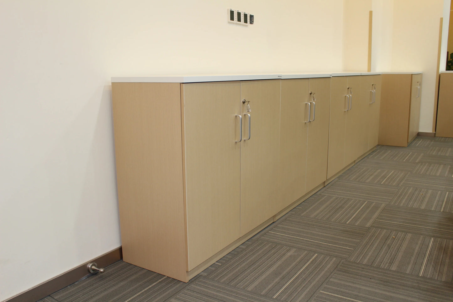 High Quality Office Furniture Newest Wooden Storage Cabinet File Cabinet Locker Customized Stable &durable