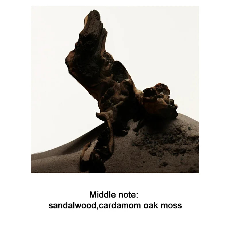 Men's Perfume 100ML Ebony Men Sandalwood Perfume Spray Flirting Pheromone Long Lasting Romance Attract Women Valentine Day Gift SwiftNest