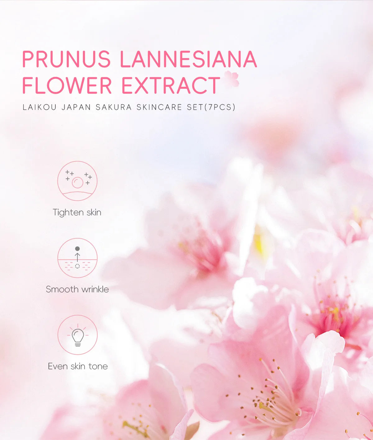 Sakura Skin Care Kit Hydrating Moisturizing Skin Care with Cleansing Pore Treatment and Sunscreen  Cosmetic  Skincare Korean