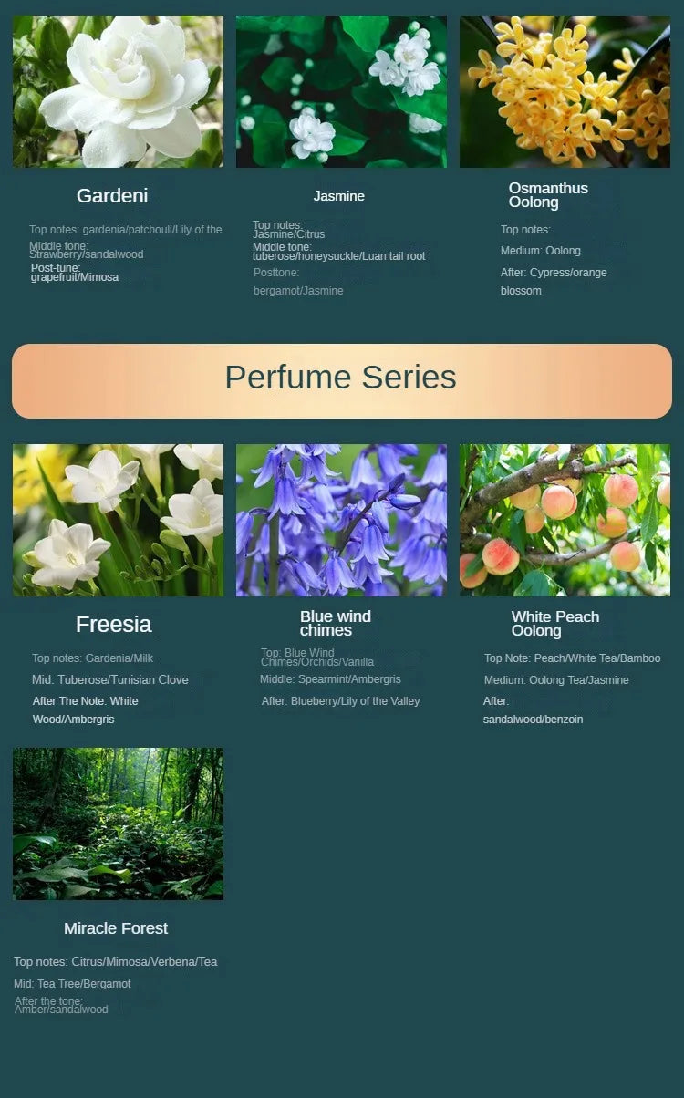 500ml Hilton Ritz Carlton Fragrance Oil For Home Perfumes Hotel Series Essential SPA Oils For Aromatic Diffuser DIY Perfume SwiftNest