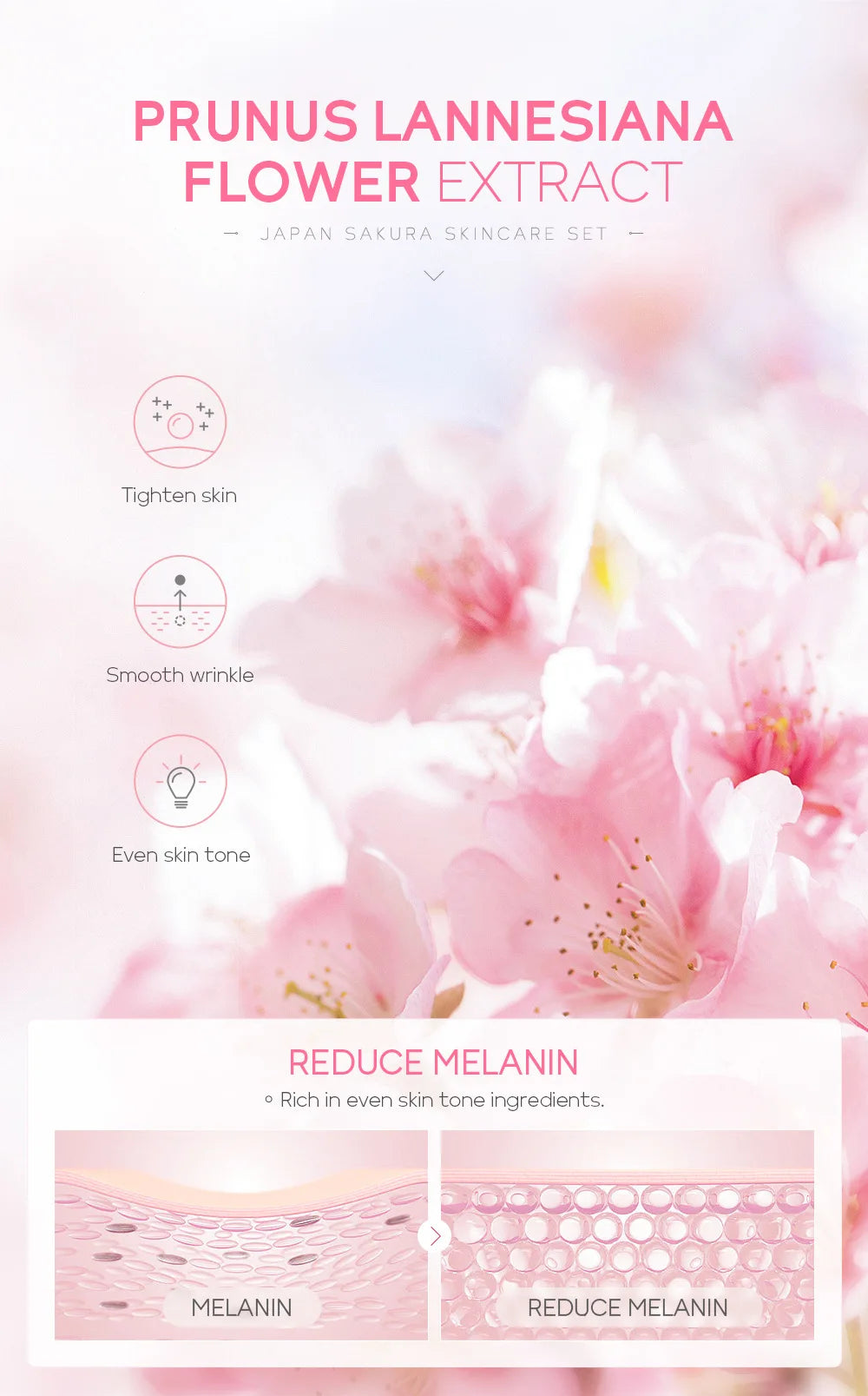 Laikou 6pcs/set Sakura Skin Care Sets Facial Cleanser Moisturizing Eye Creams Face Cream Serum Lotion Skin Care Kit