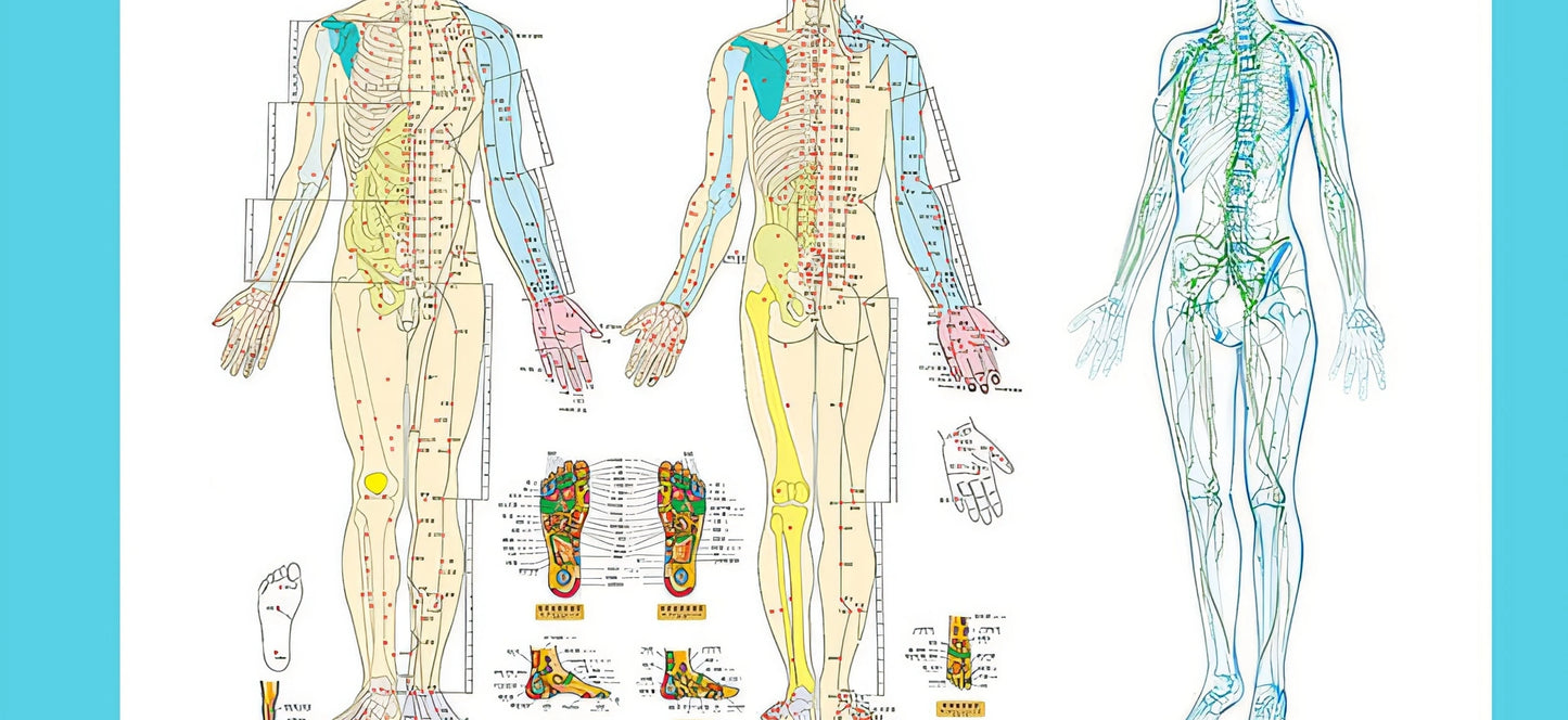 Cell Wellness Instrument Health Fluctuation Instrument Slimming Kangmei Management Instrument Secret Manna Massage