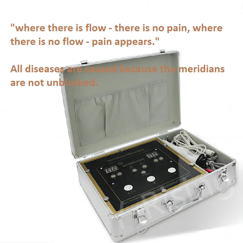 Health And Wellness Products Bio Meridian Energy Therapeutic Apparatus EMS Muscle Stimulator Bioenergy Massage Device