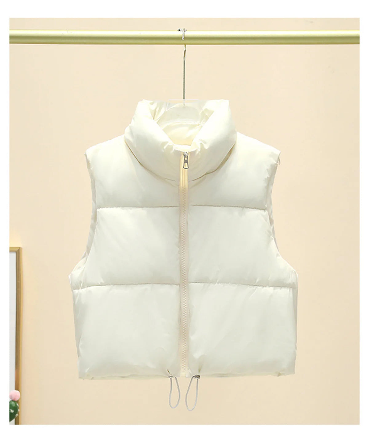 Fashion Zipper Vest For Women Autumn Winter Stand Collar Sleeveless Coat Lady Casual Street Warm Jacket Elegant Outfit Clothing SwiftNest