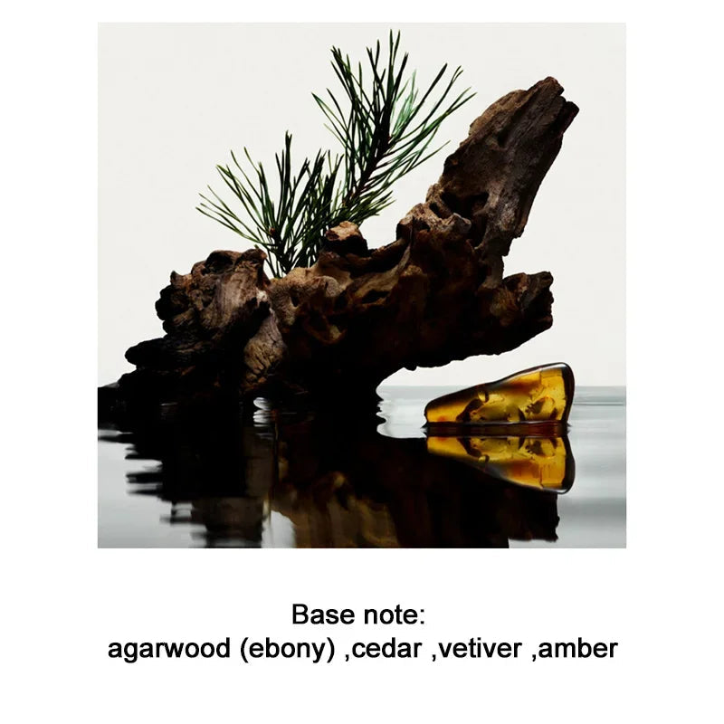 Men's Perfume 100ML Ebony Men Sandalwood Perfume Spray Flirting Pheromone Long Lasting Romance Attract Women Valentine Day Gift SwiftNest