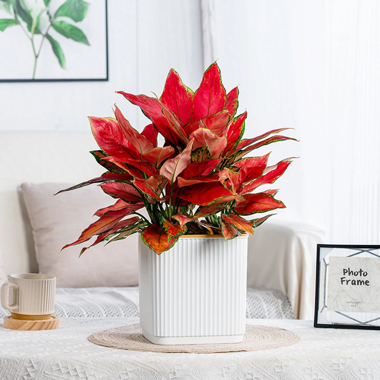 Hydroponic Green Plant Plastic Vase Modern Home Self Watering Flowerpot for Garden Enthusiast Lover Gift