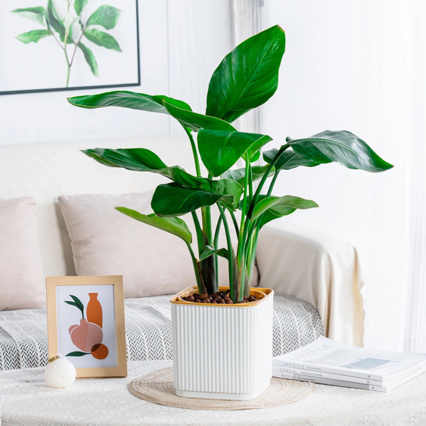 Hydroponic Green Plant Plastic Vase Modern Home Self Watering Flowerpot for Garden Enthusiast Lover Gift