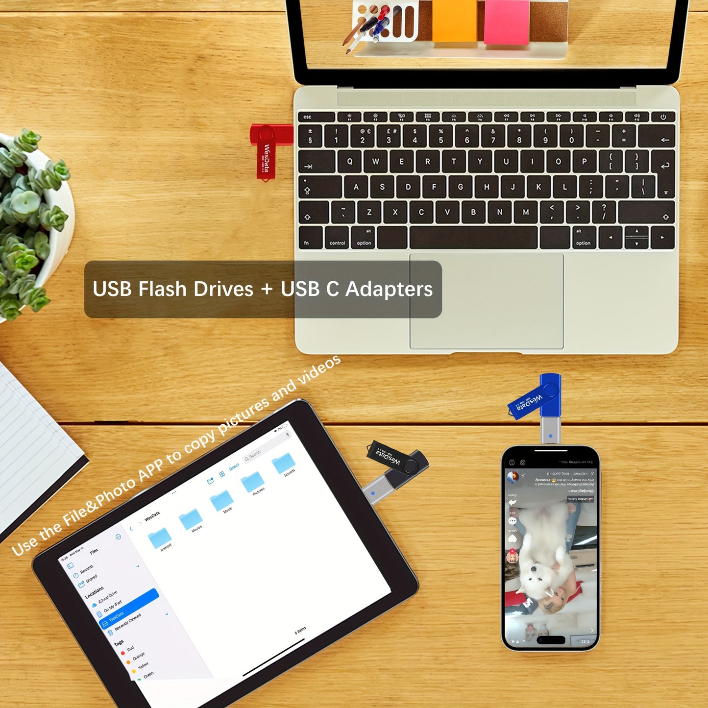 WesData USB Flash Drive Bundle: 5-Pack 4GB/16GB USB 2.0 Thumb Drives with 2 USB-C Adapters, Portable Storage Sticks for Data Transfer, Compatible with OTG Android Phones, Mac, PC, Laptops